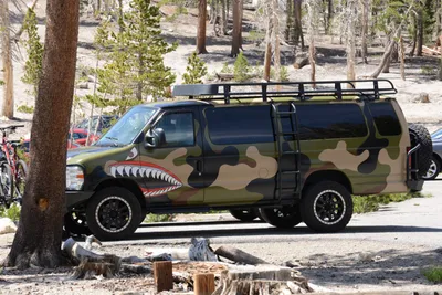 DSC_3198 (Large).JPG